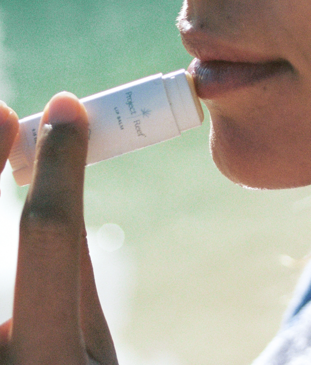 Herbal Peppermint Lipbalm