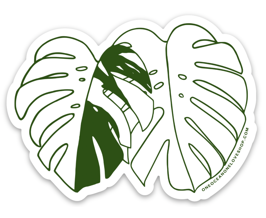 The Monstera Plant Sticker