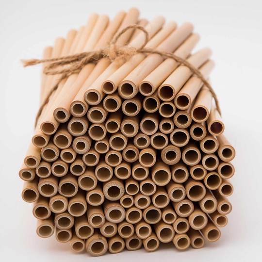 One Ocean Bamboo Straw