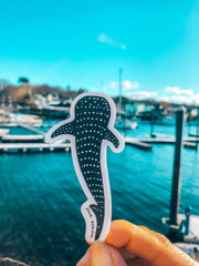 Whale Shark Sticker